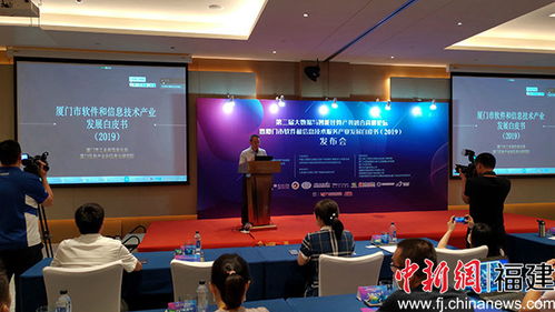 廈門軟件業(yè)領(lǐng)跑全省，技術(shù)服務(wù)成新引擎